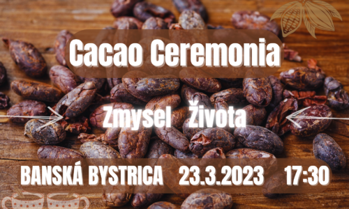 Cacao Ceremonia